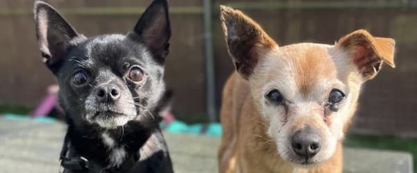 Tammy and Denzel — Unknown