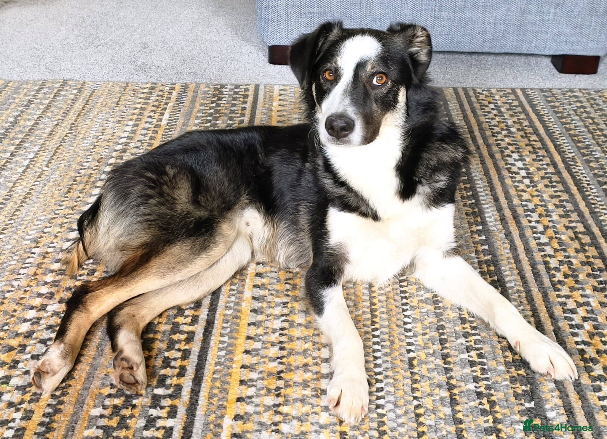 MAX๐ Let Down But Still Loving photo 3