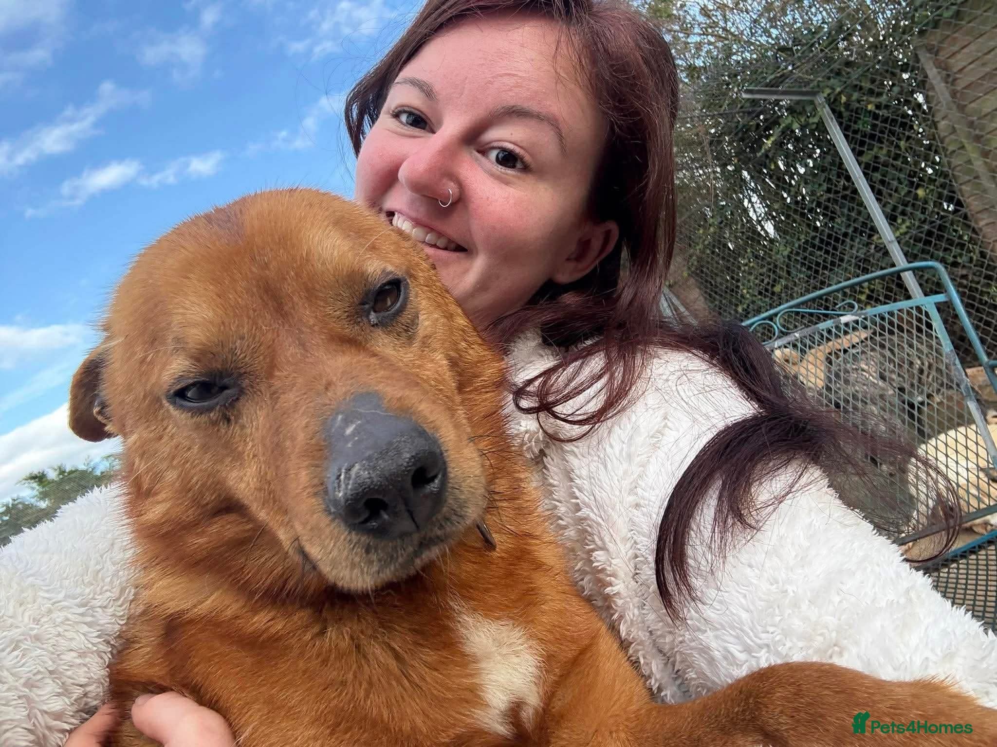 Eli - Norwich Norfolk photo 2