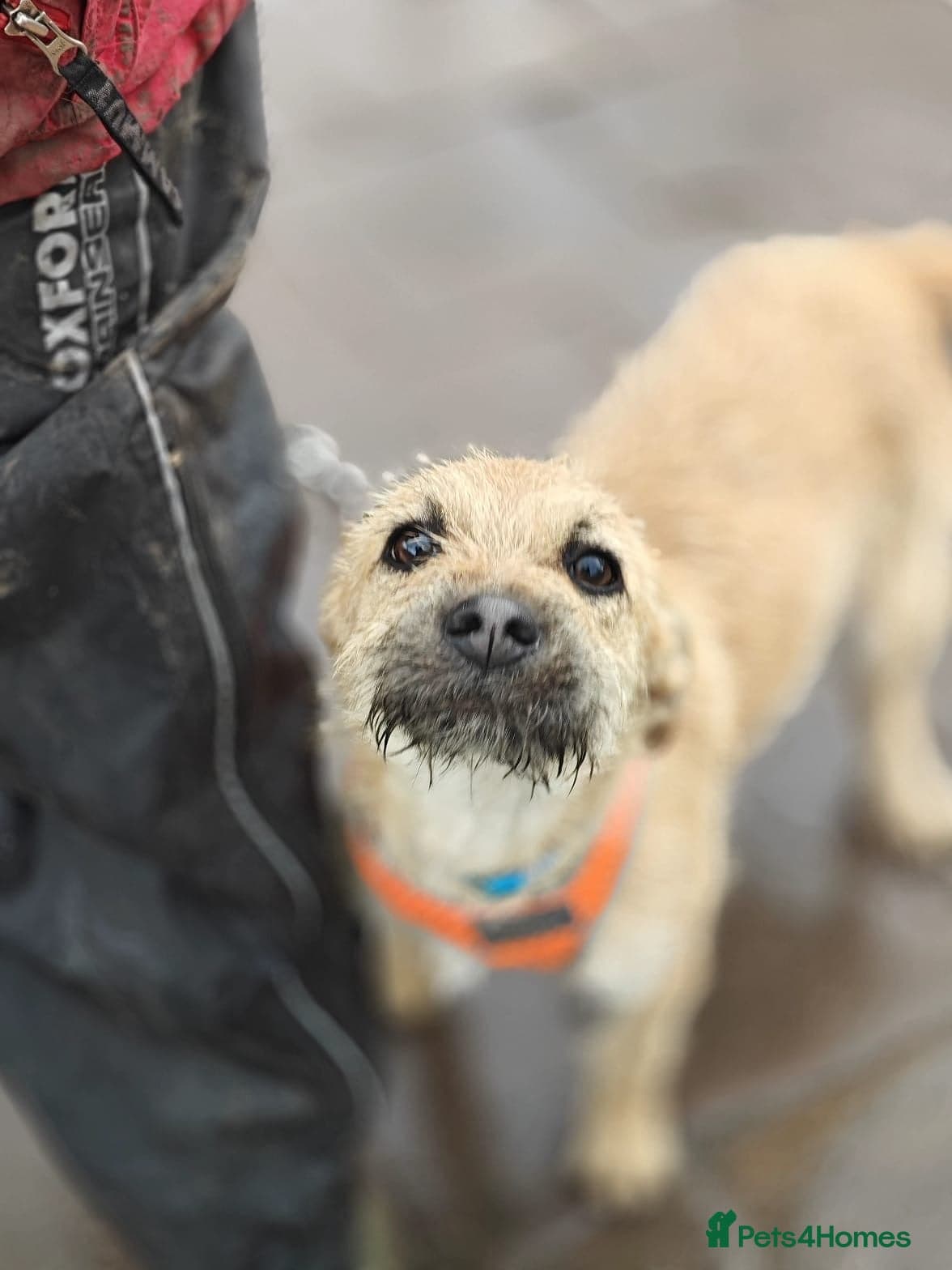 ๏ธ๐ถ bekki photo 3