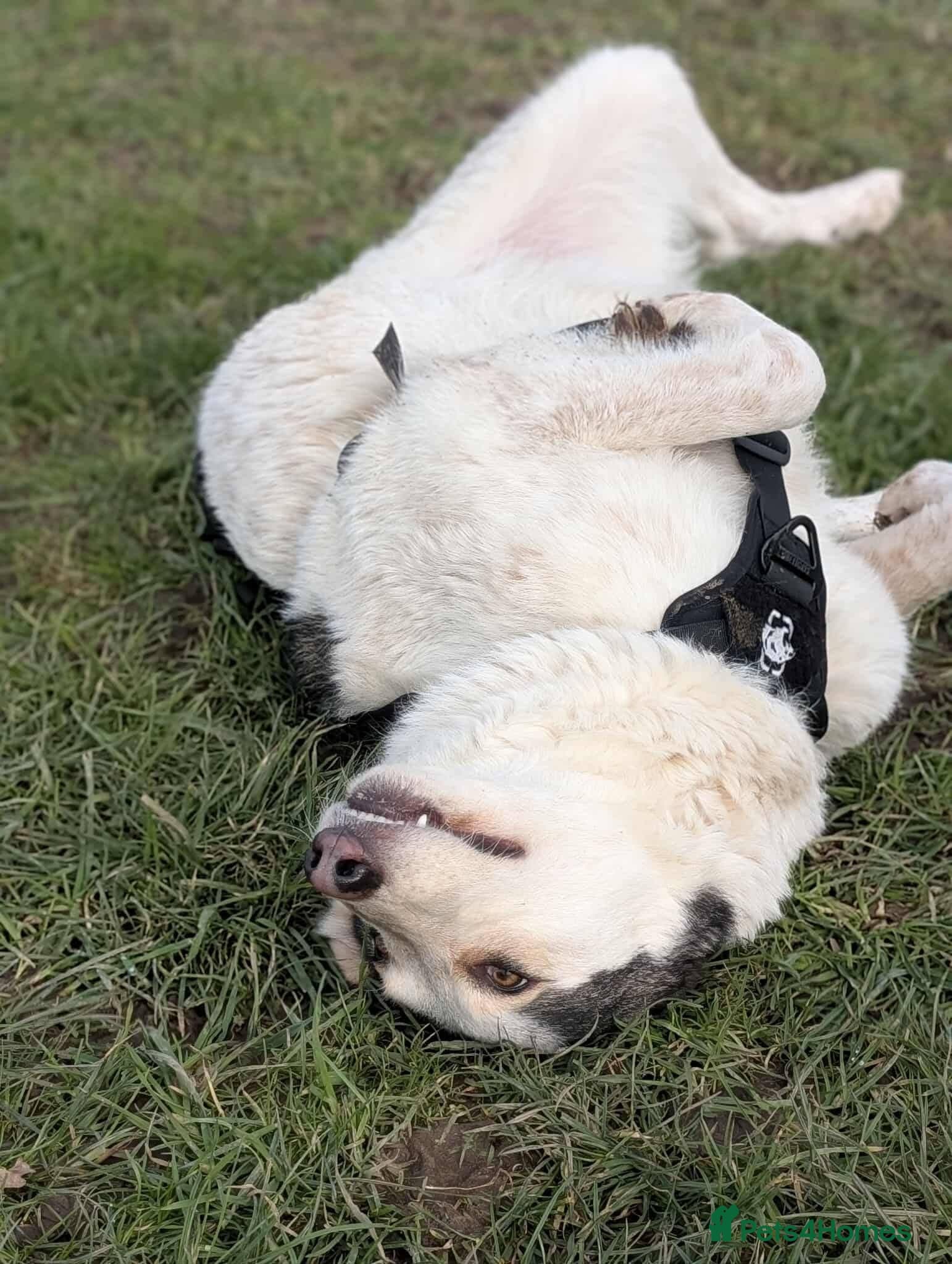 Meet Demi, currently residing in Essex photo 5