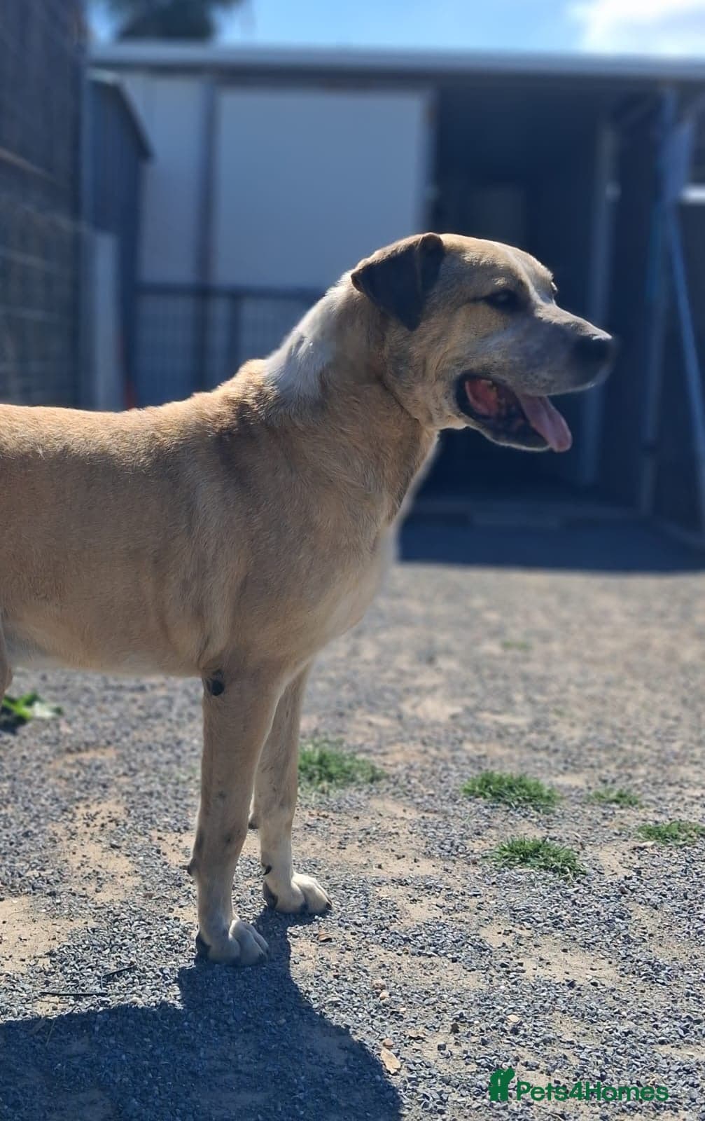 Gem ๐ ๐พ photo 5