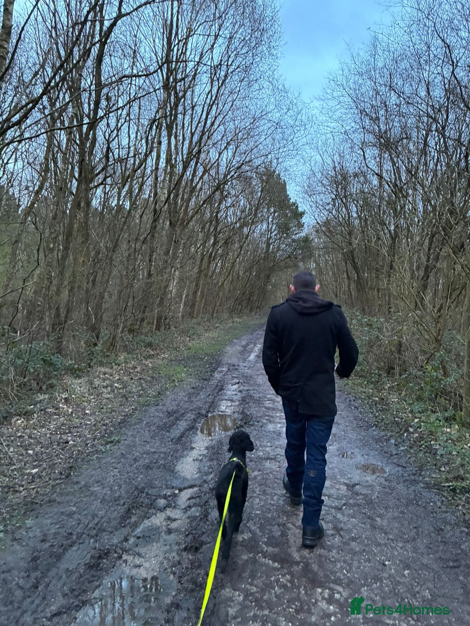 ️🐶 charlie photo 13