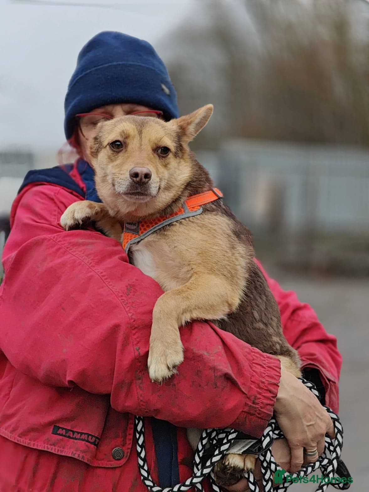 ️🐶 rudya photo 5