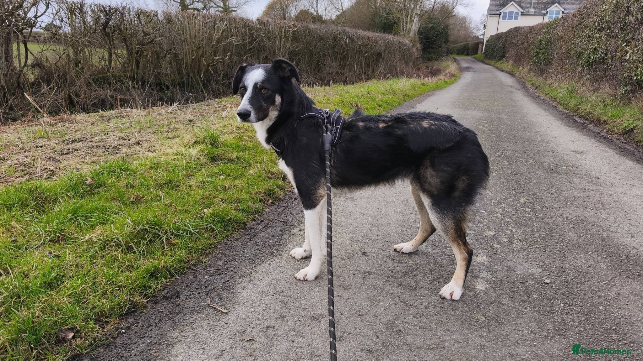 MAX๐ Let Down But Still Loving photo 10