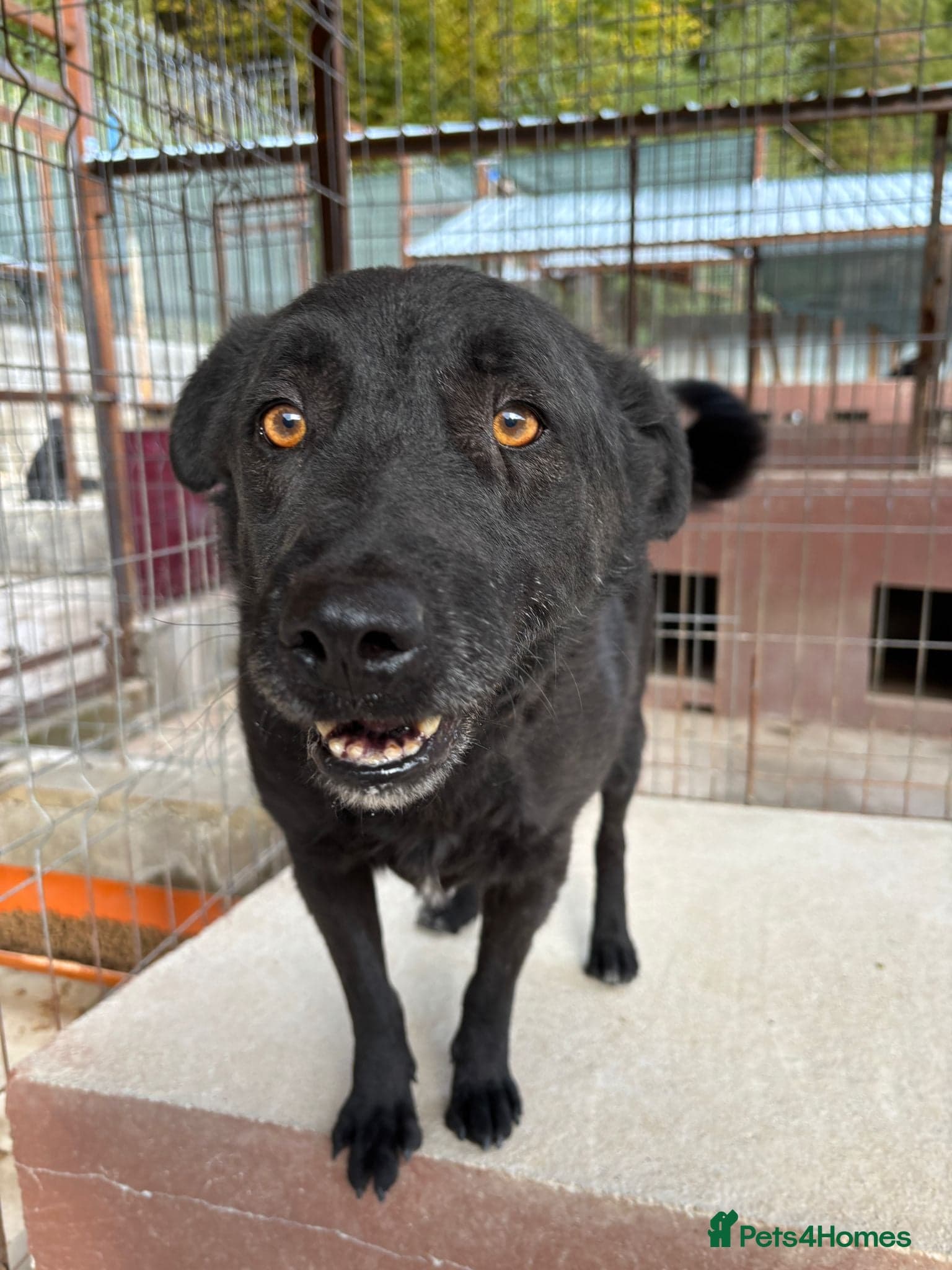 Dragos 💙 photo 10