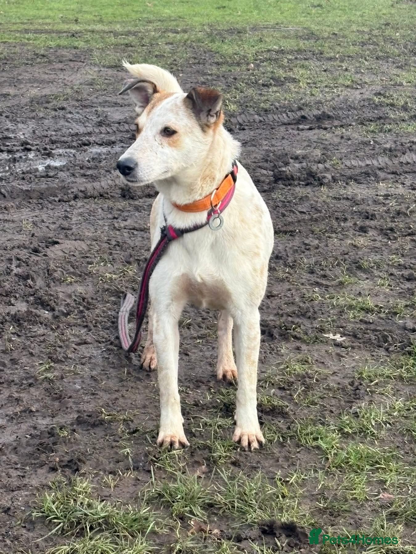 Trinity - Norwich Norfolk photo 3