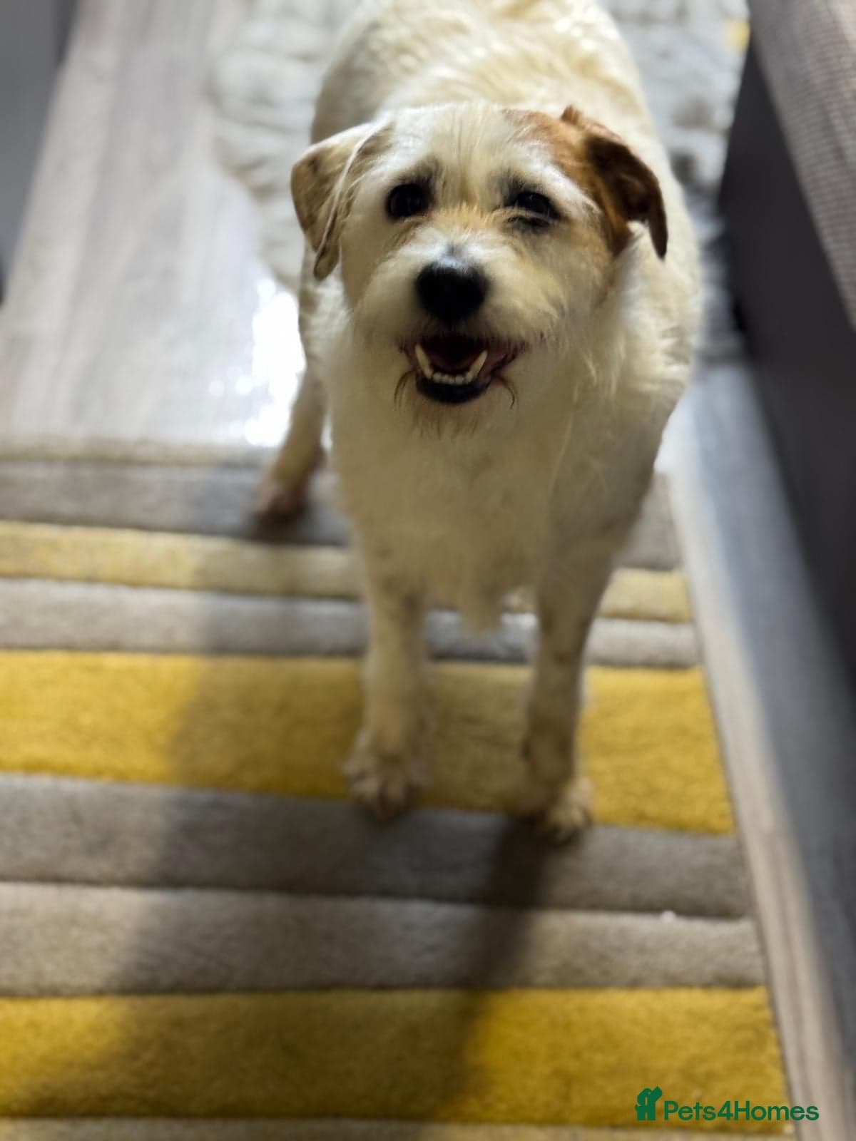 Cute girl Pepsi photo 18