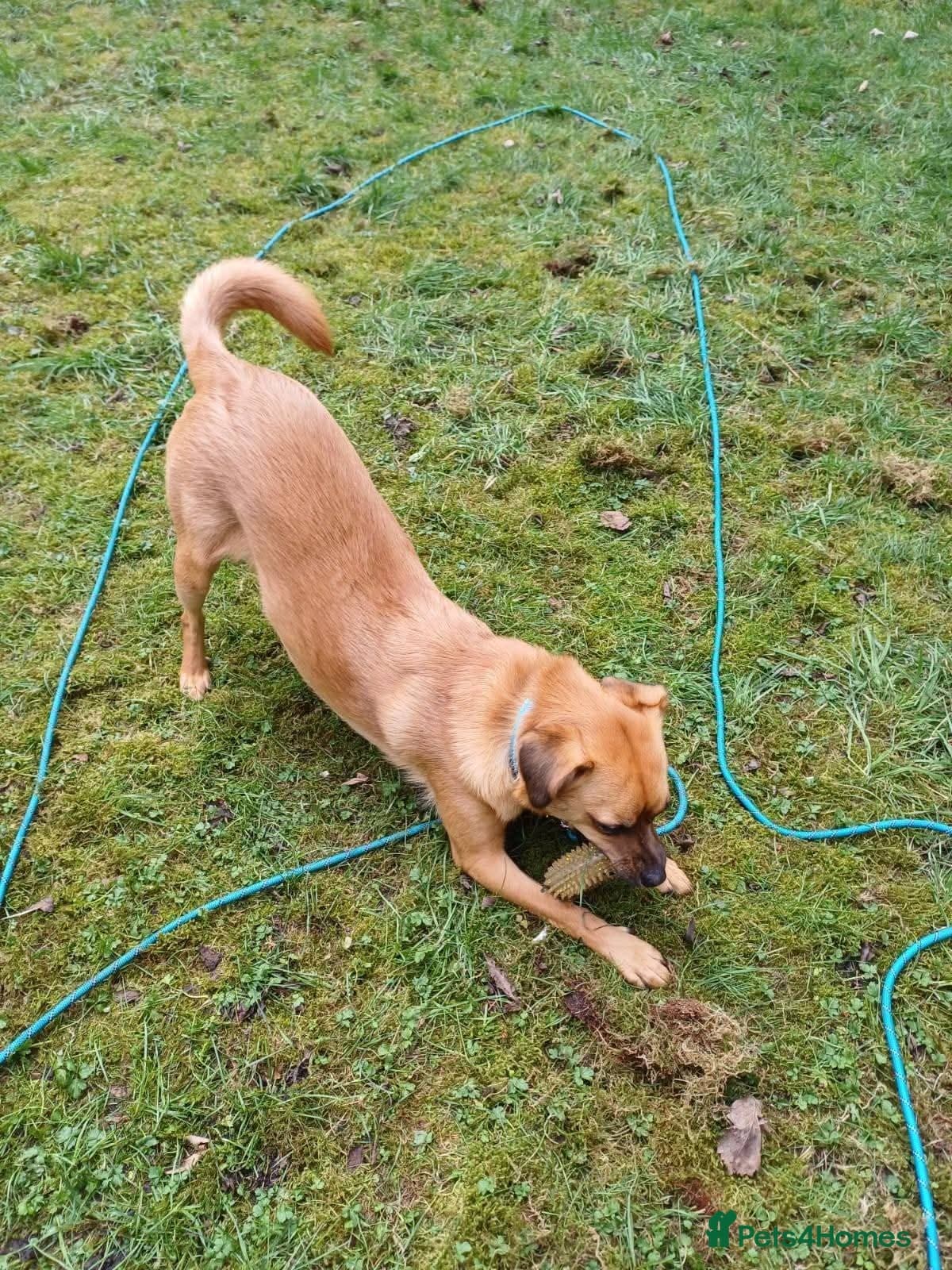 Meet Jaspher, currently residing in Edinburgh photo 12