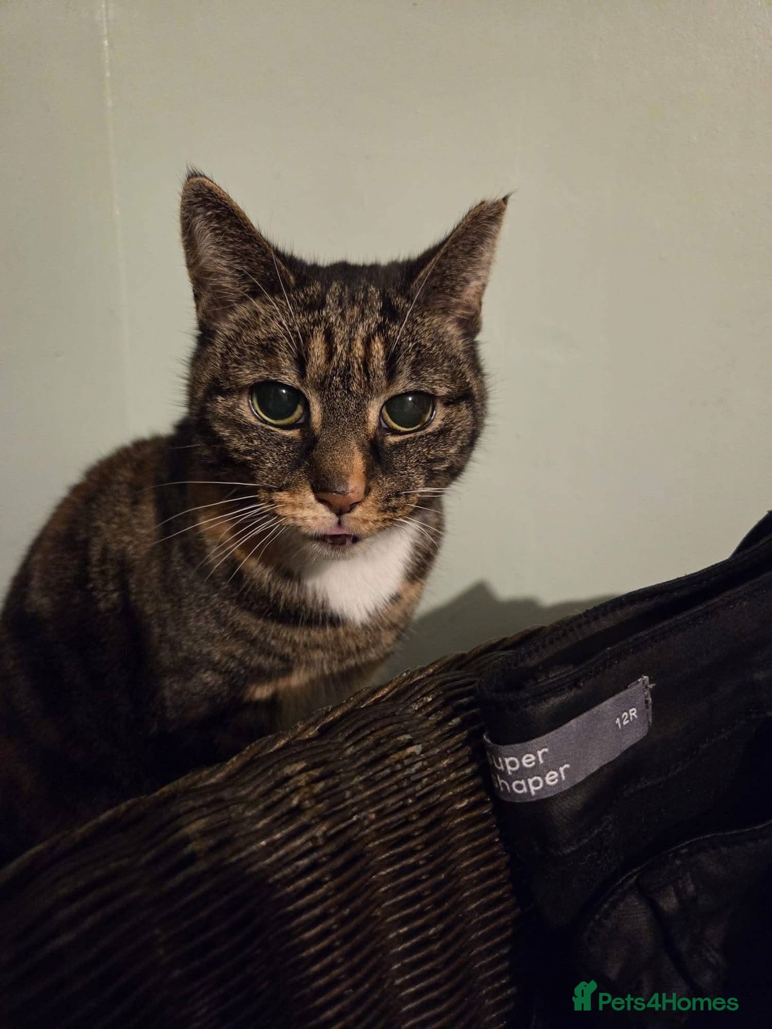 ๏ธ๐ฑ cleo photo 5