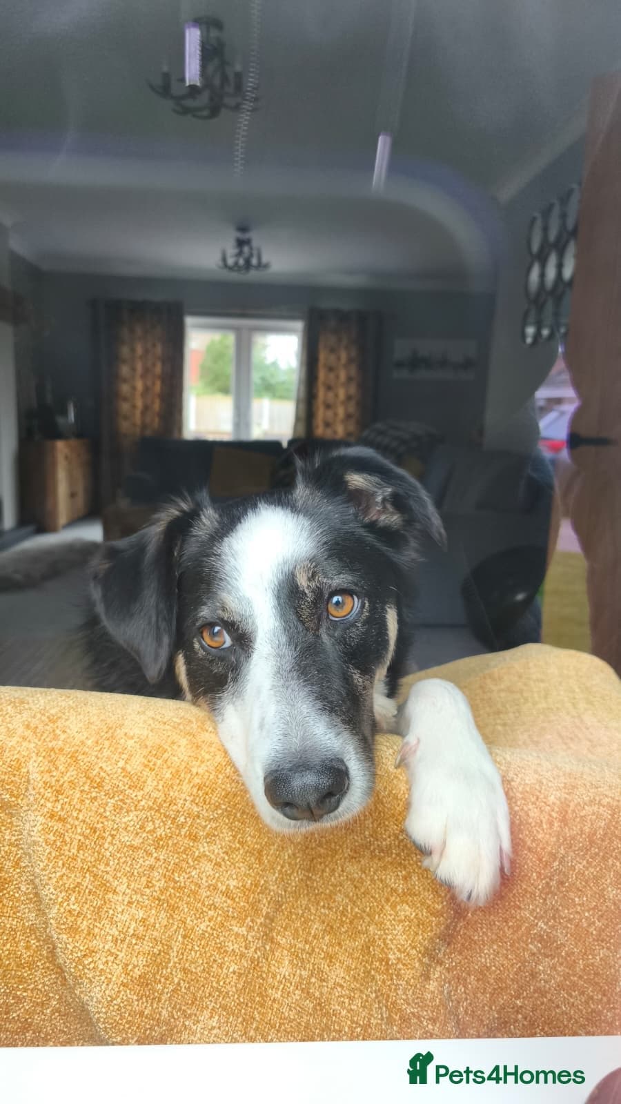 MAX๐ Let Down But Still Loving photo 18