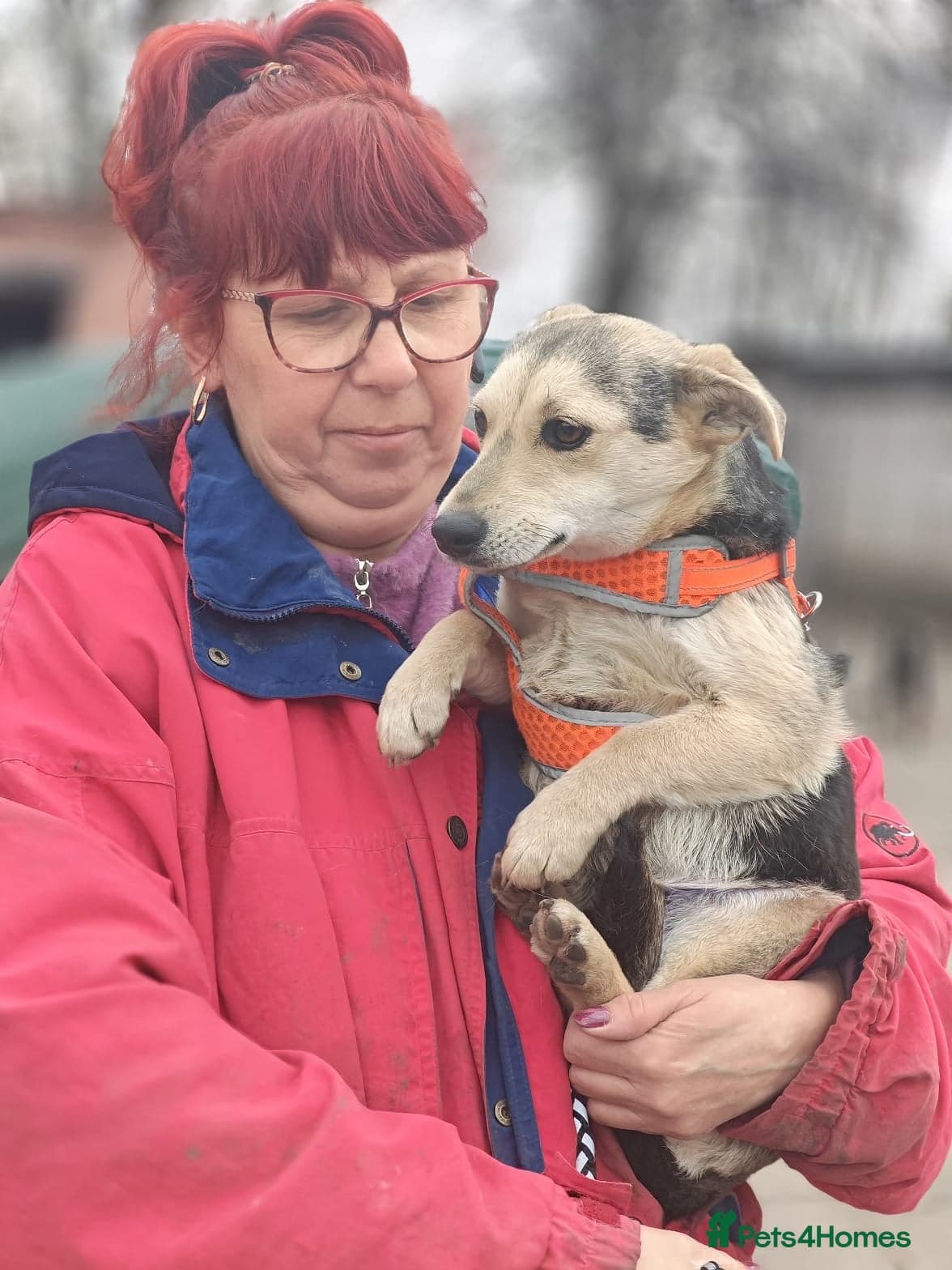 ️🐶 maree photo 8