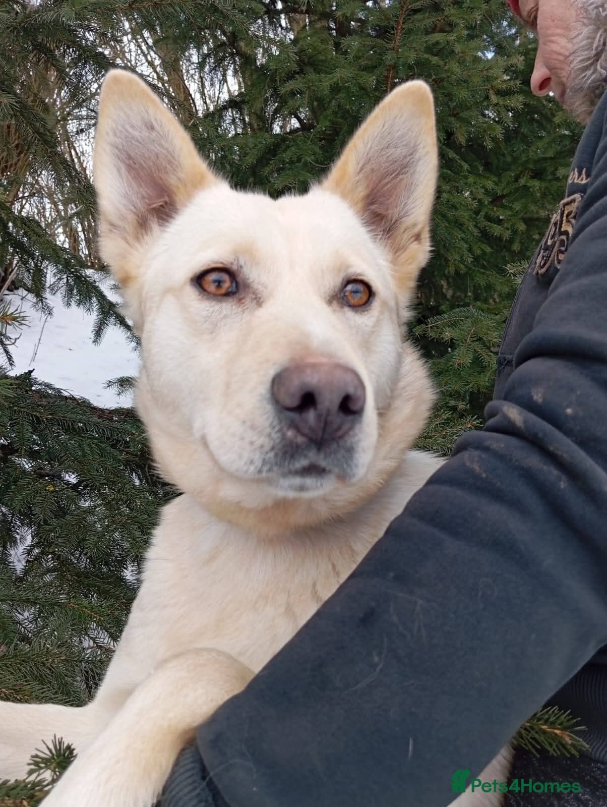 ️🐶 milady photo 14