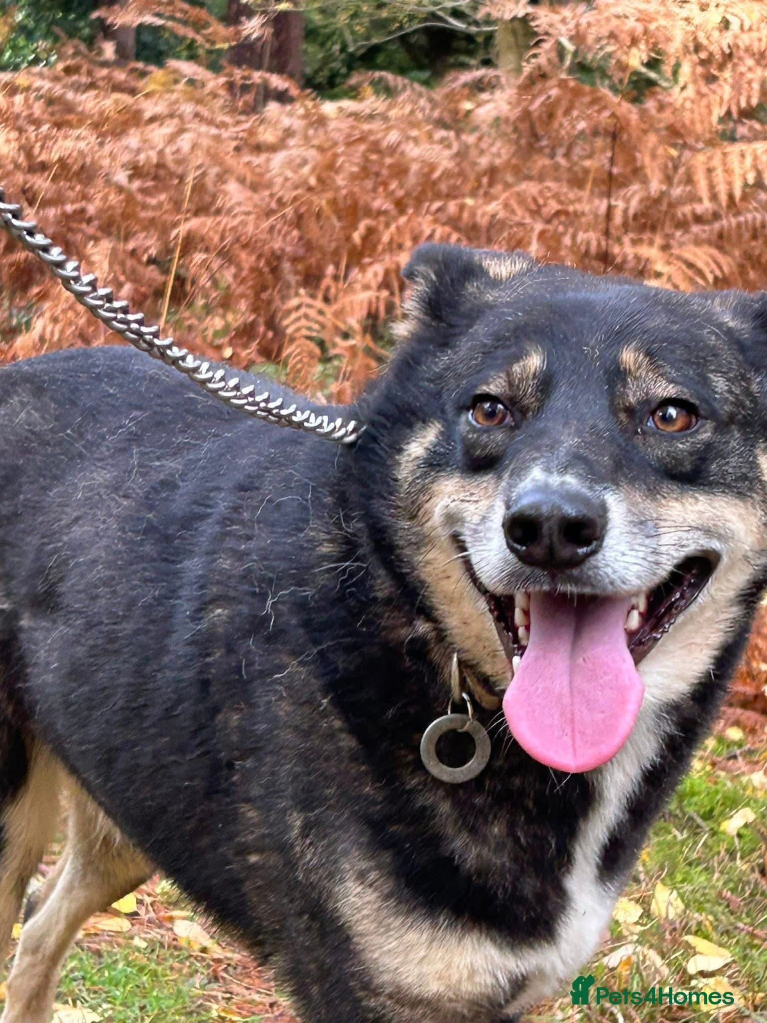 Ben - Norwich Norfolk photo 9