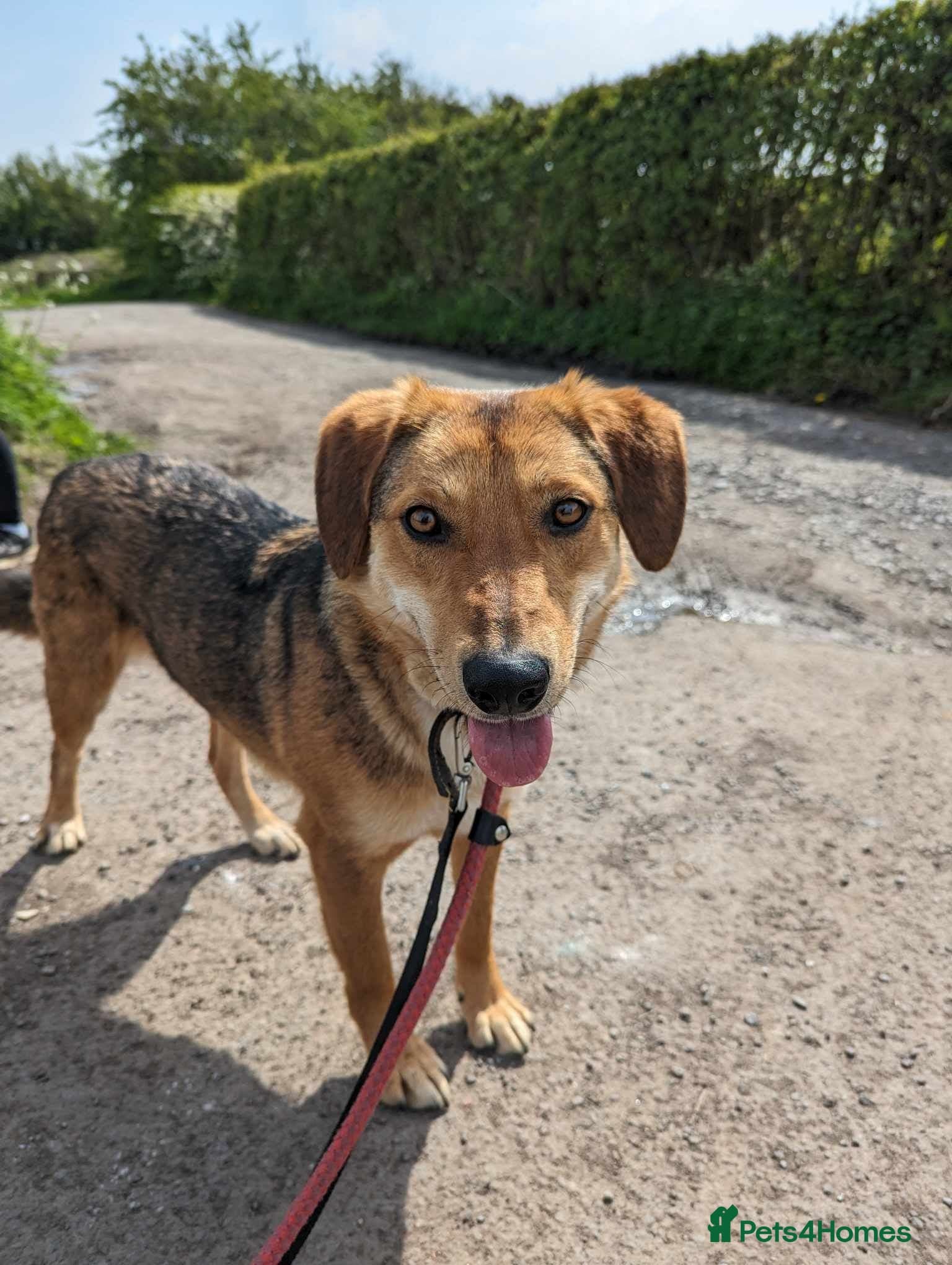 Meet Shiloh, currently residing in Cheshire photo 2