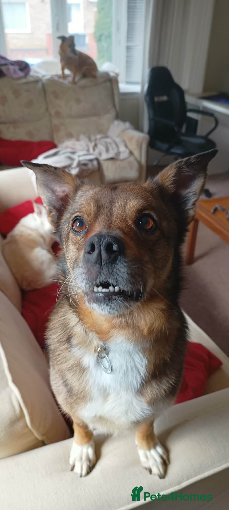 Erica - Norwich Norfolk photo 6