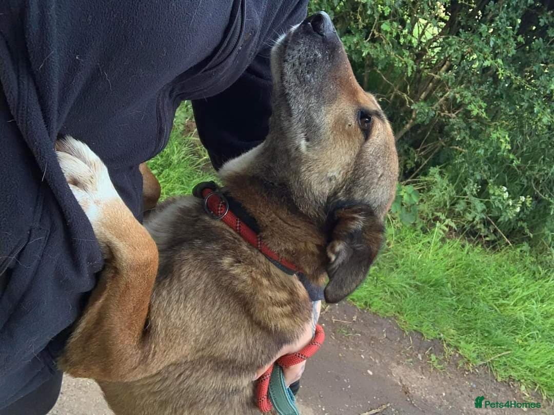 Meet Faith, currently residing in Cheshire photo 7