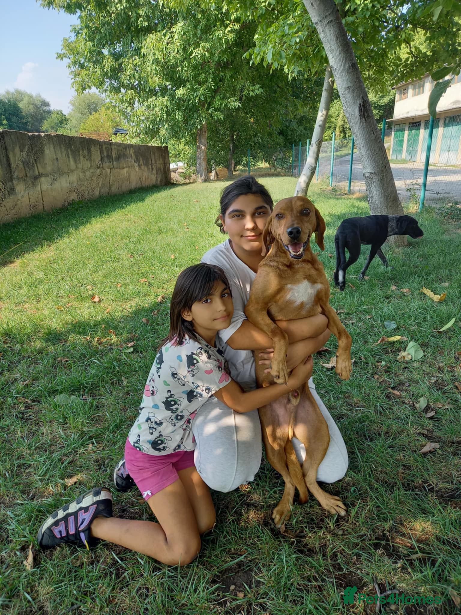 Beanie Boy, 3-4 yrs old. photo 4