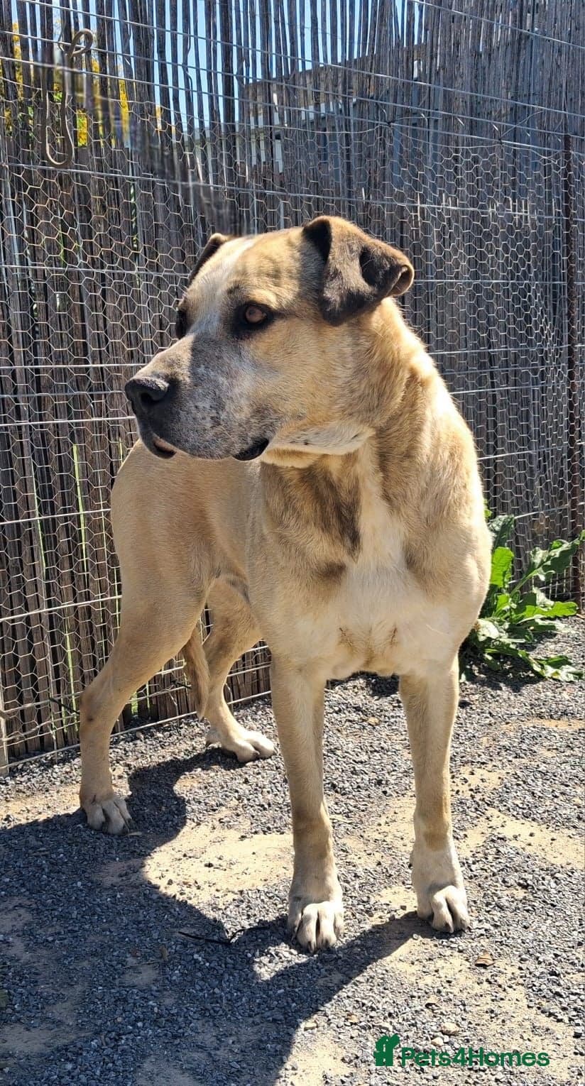 Gem ๐ ๐พ photo 4