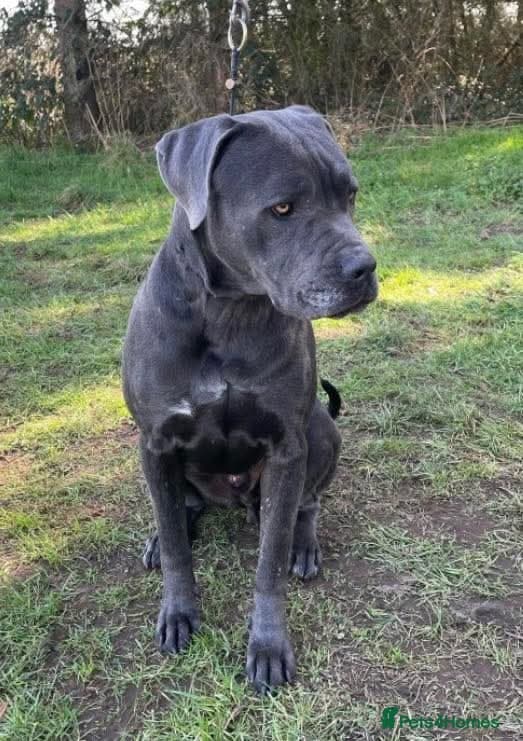 Meet Sky, currently residing in Merseyside photo 4