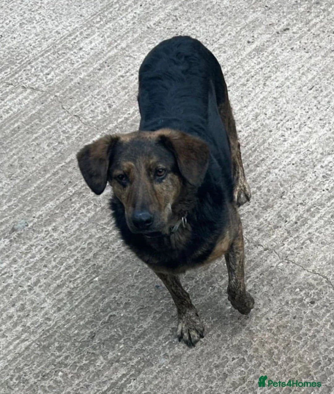 Meet Jess, currently residing in Essex photo 3