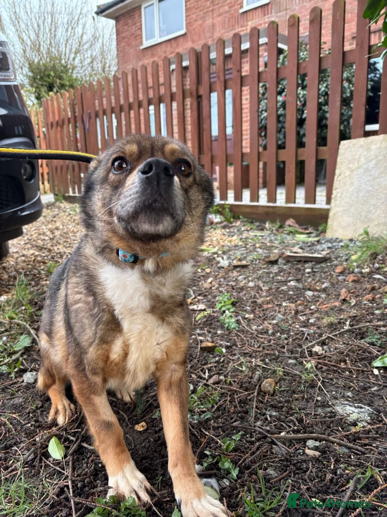 Erica - Norwich Norfolk photo 11