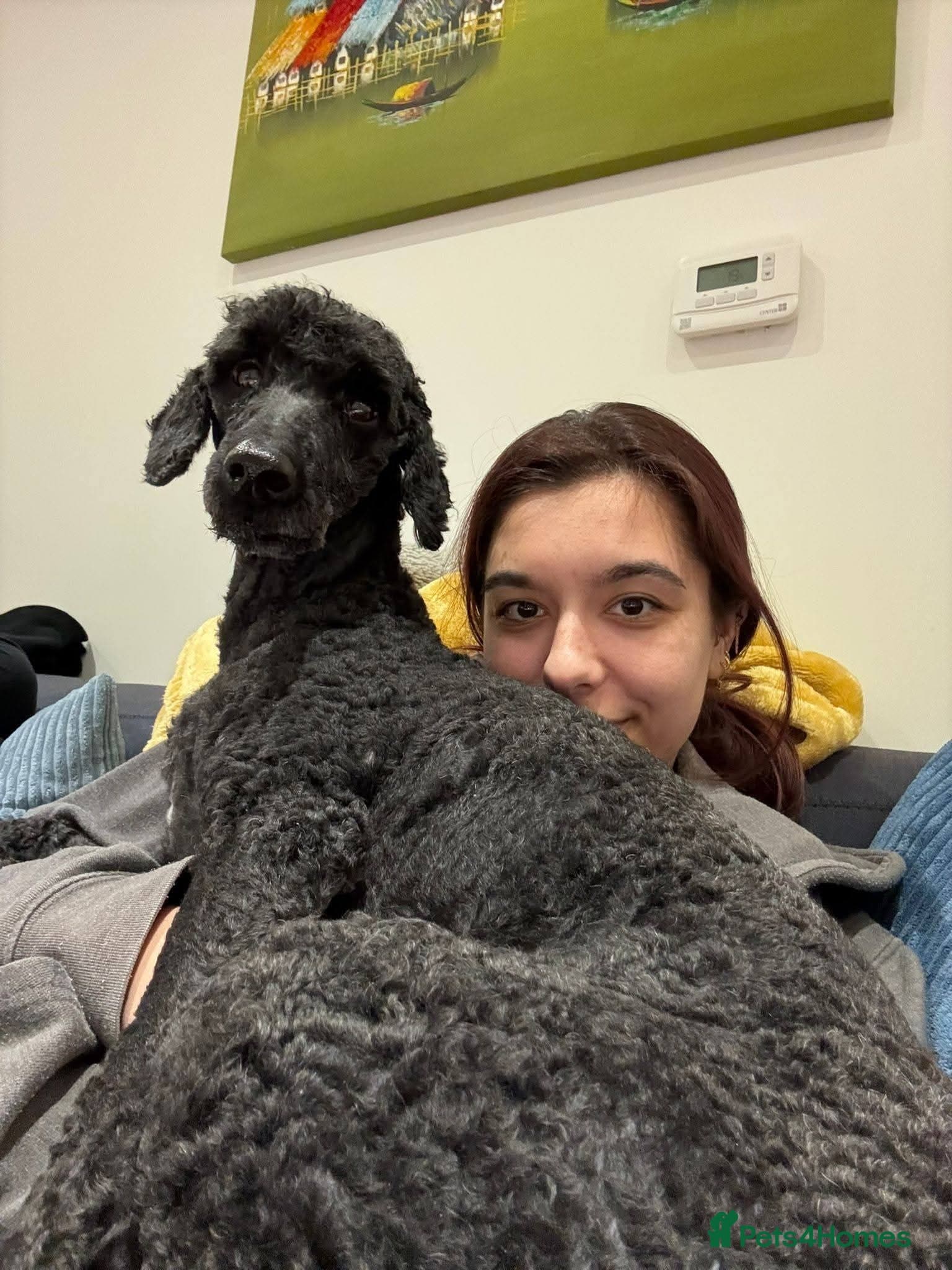 ️🐶 charlie photo 2