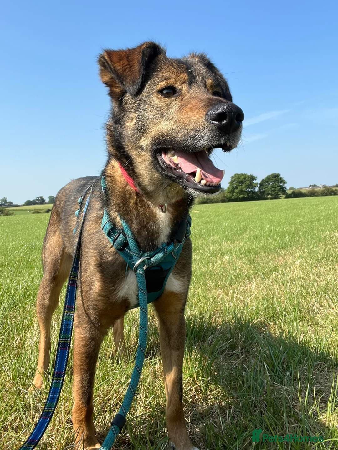 Meet Jake, currently residing in Cheshire photo 4