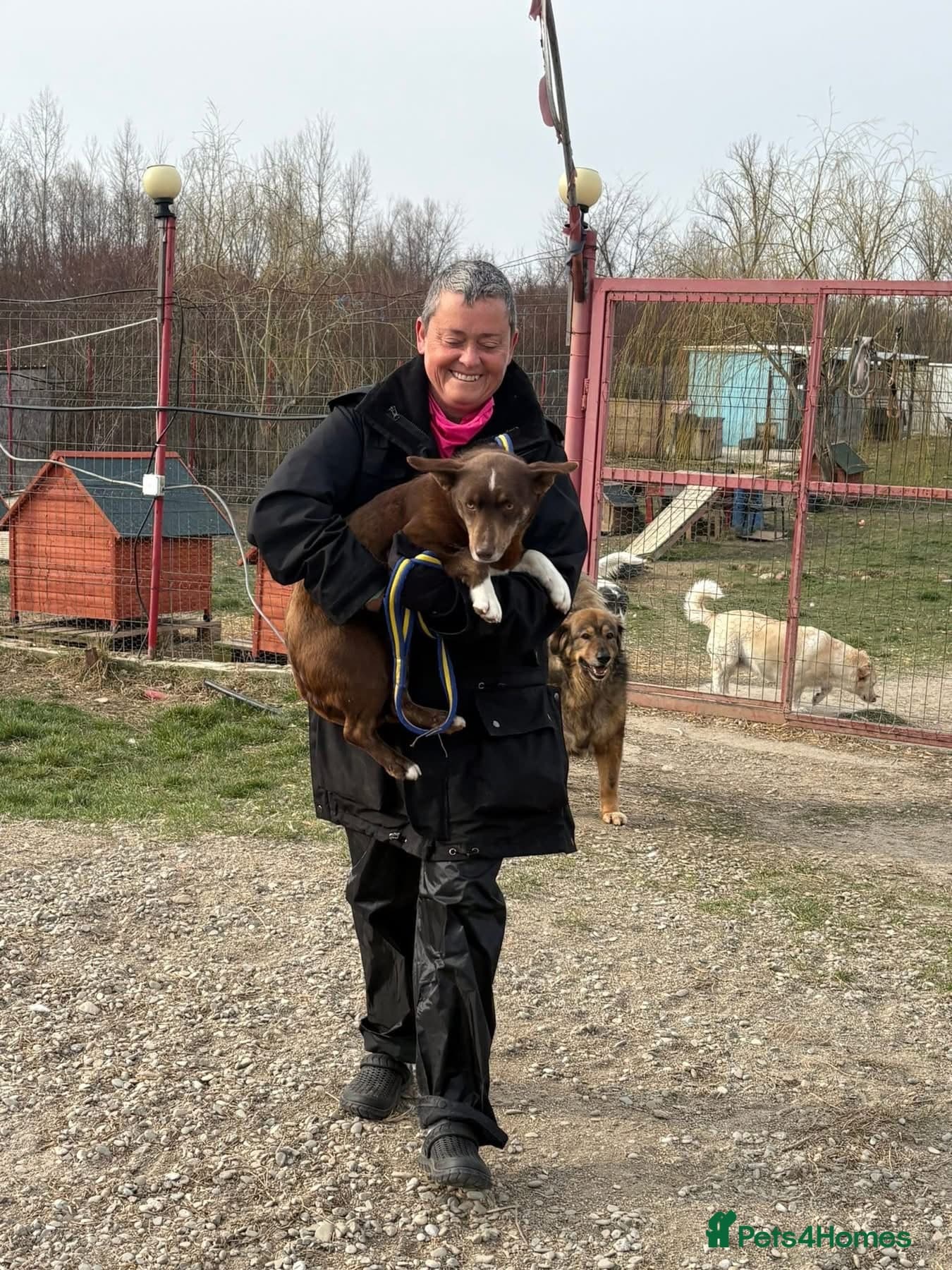 India - Norwich Norfolk photo 12