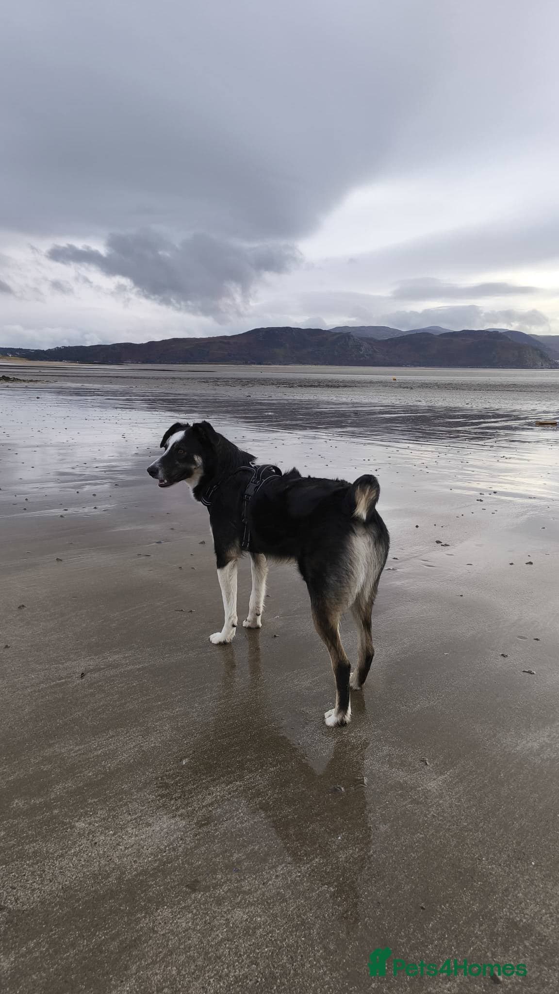 MAX๐ Let Down But Still Loving photo 14