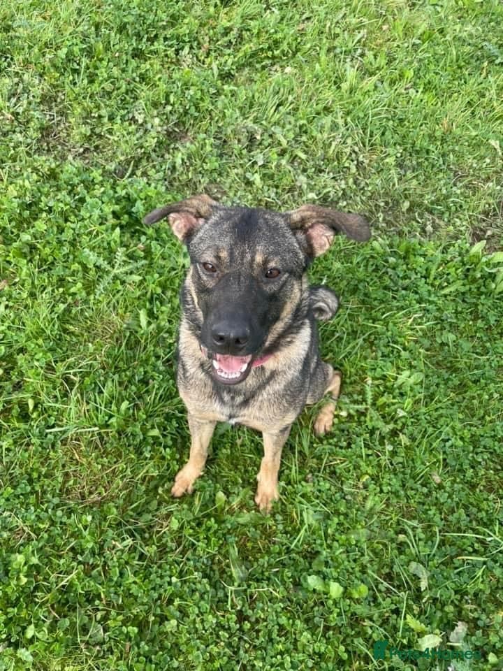 Luna ๐พ๐ photo 10