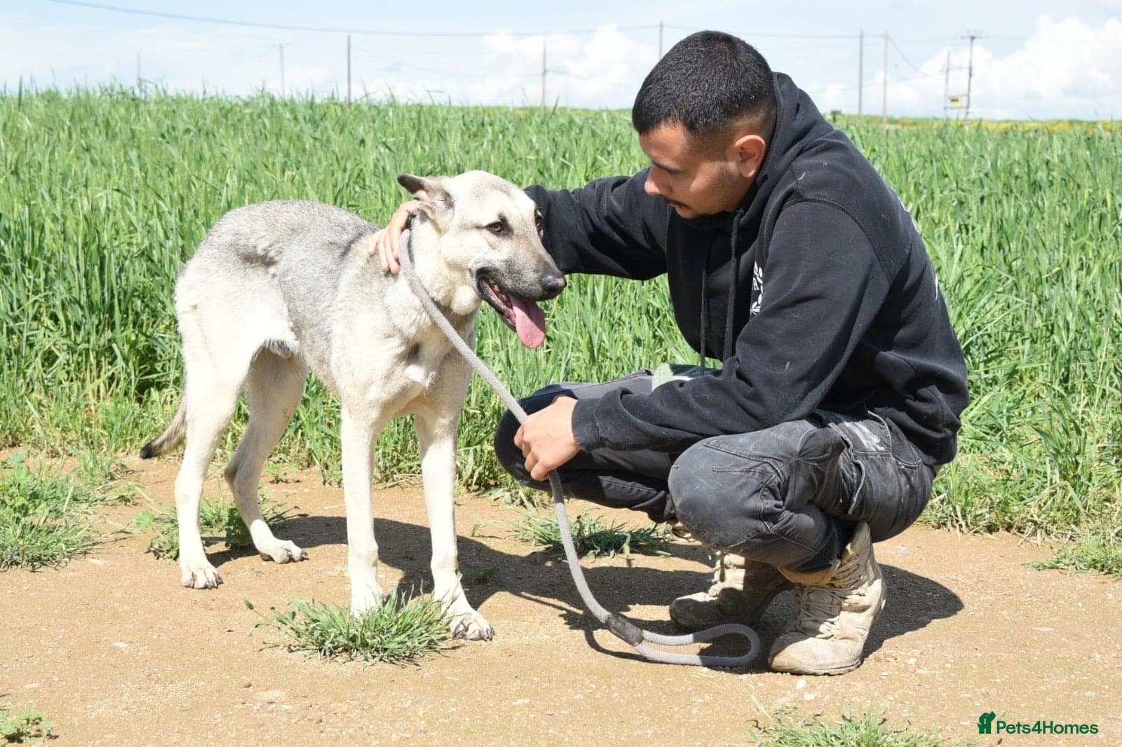 Sweet boy Timo photo 3