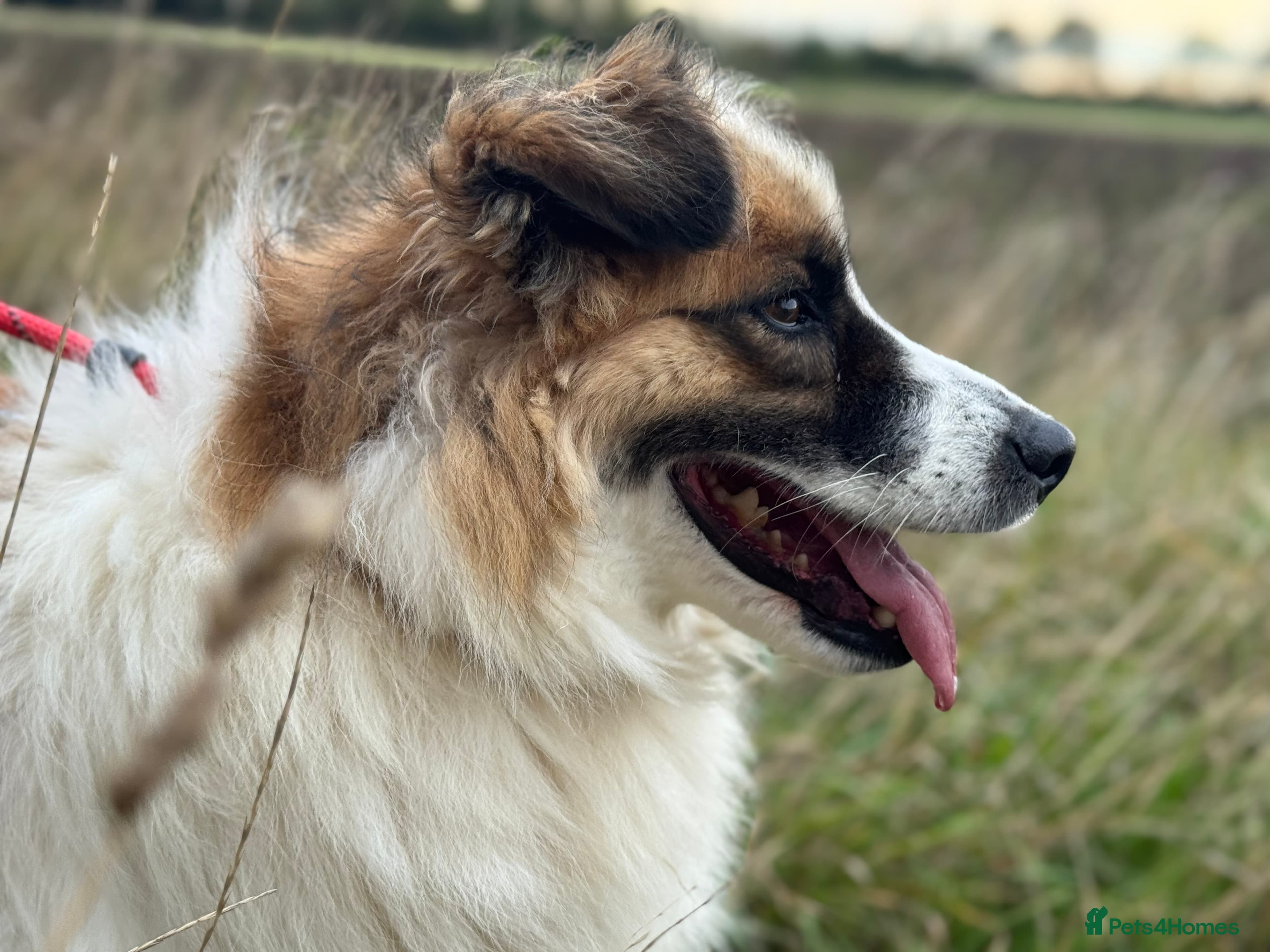 Jessie ❤️ photo 12