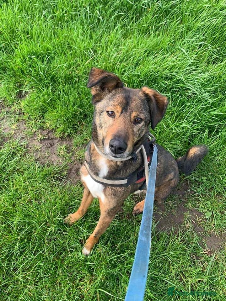 Meet Jake, currently residing in Cheshire photo 19