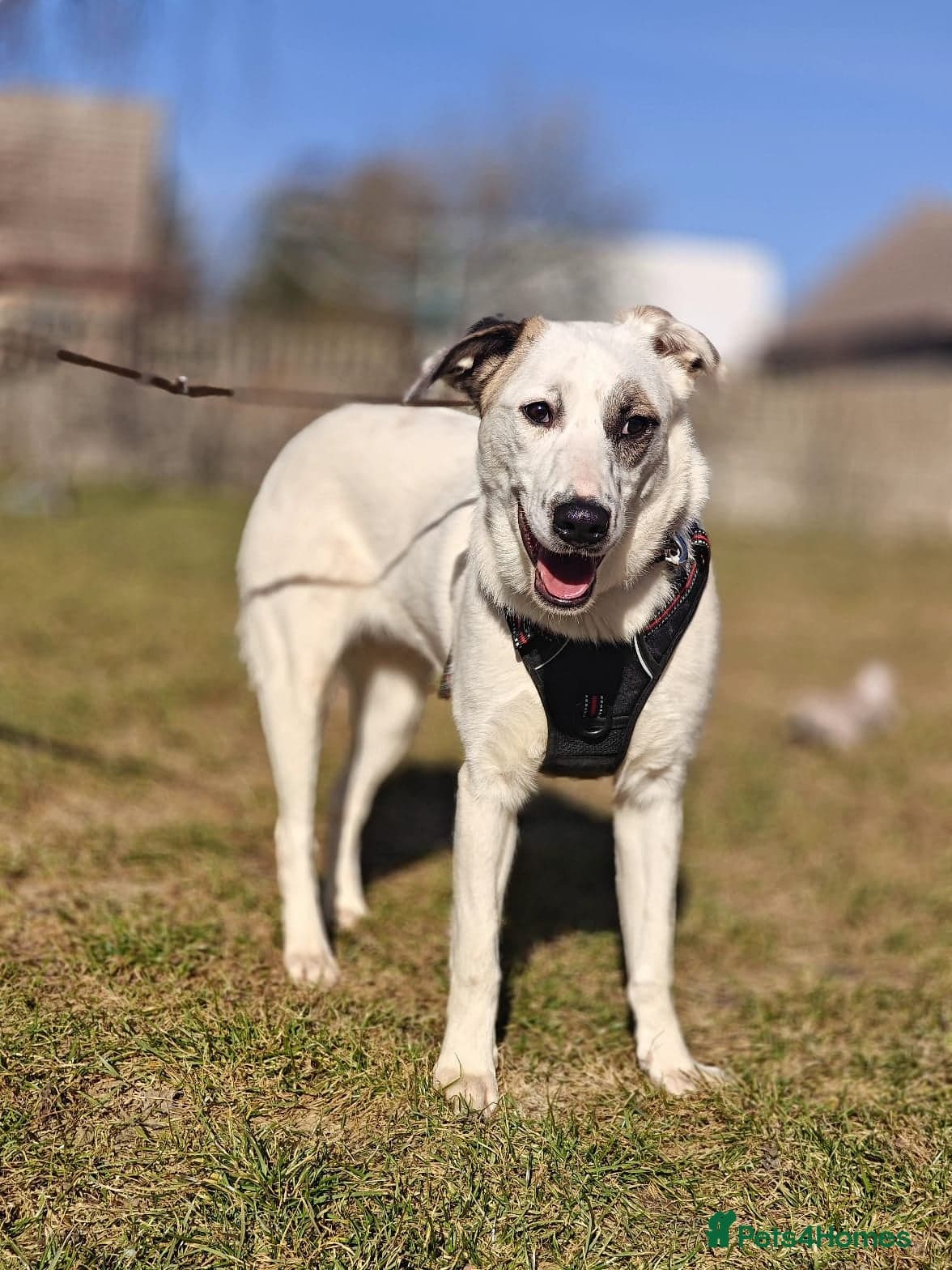 ️PLIAMKA❤️She photo 10