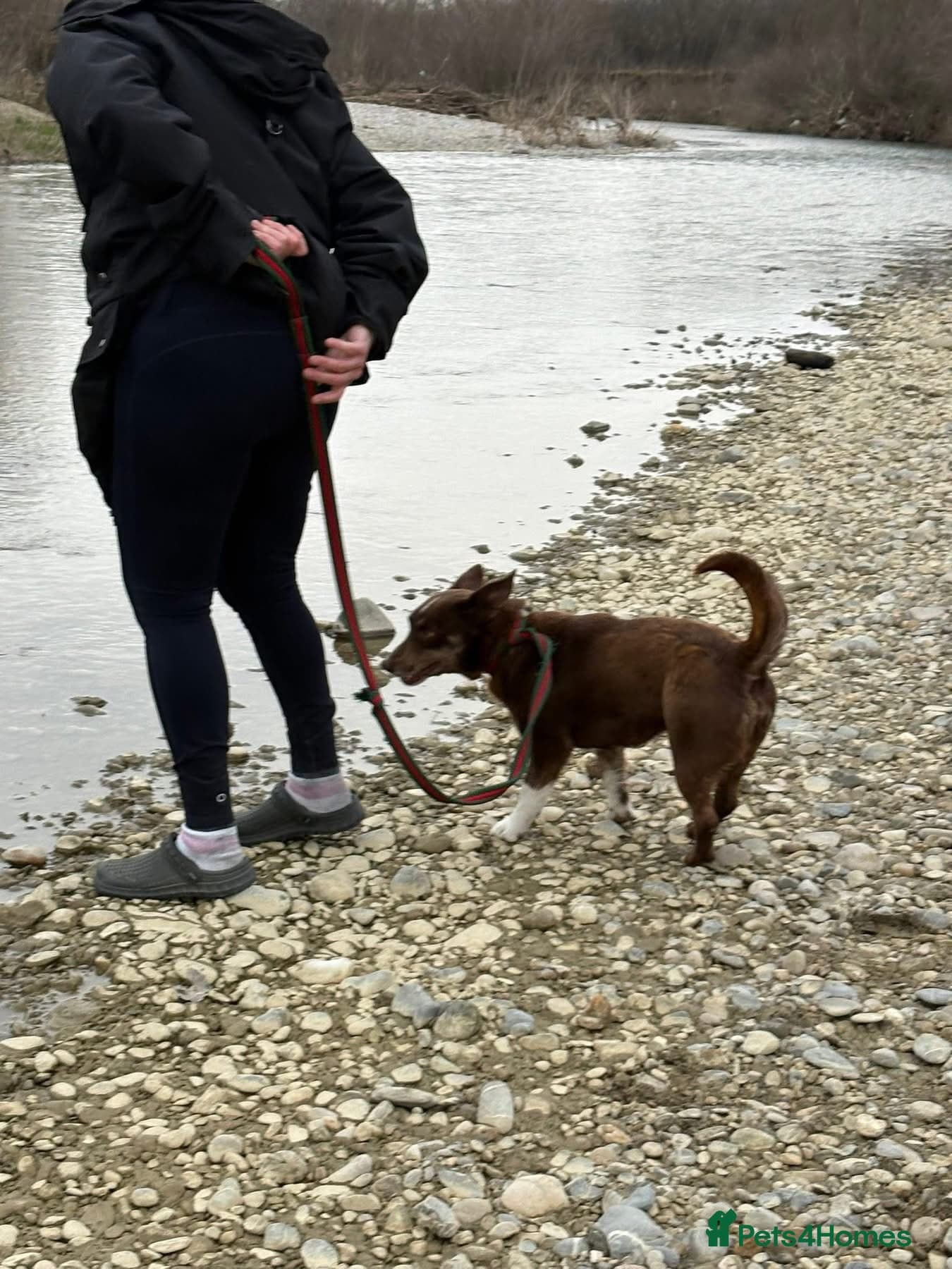 India - Norwich Norfolk photo 8