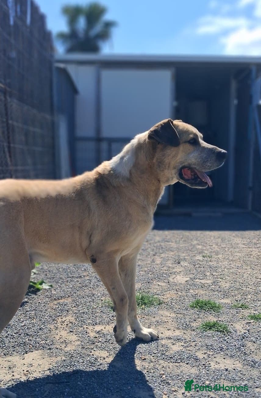 Gem ๐ ๐พ photo 7