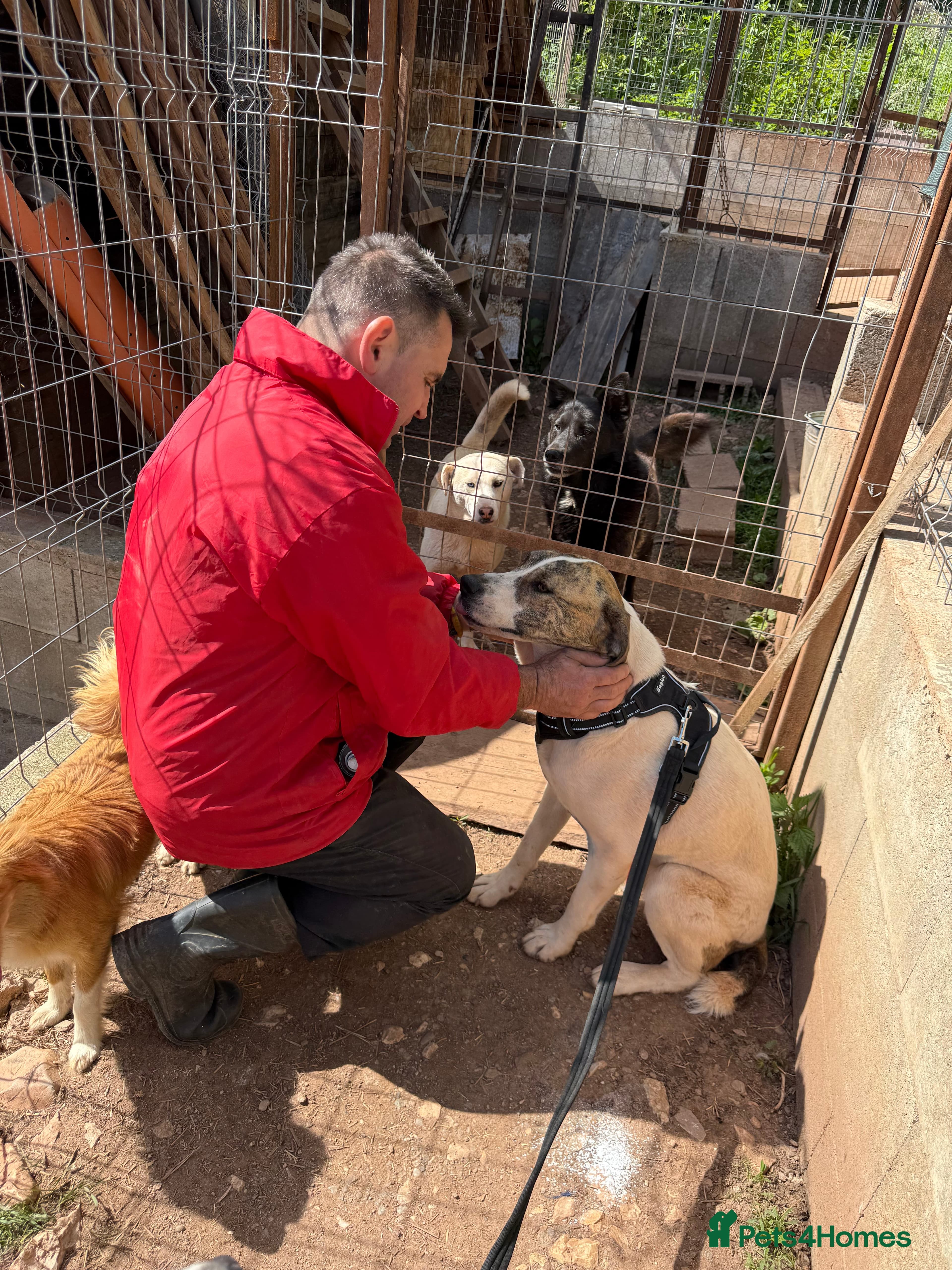 Jasmine 🩷 photo 4