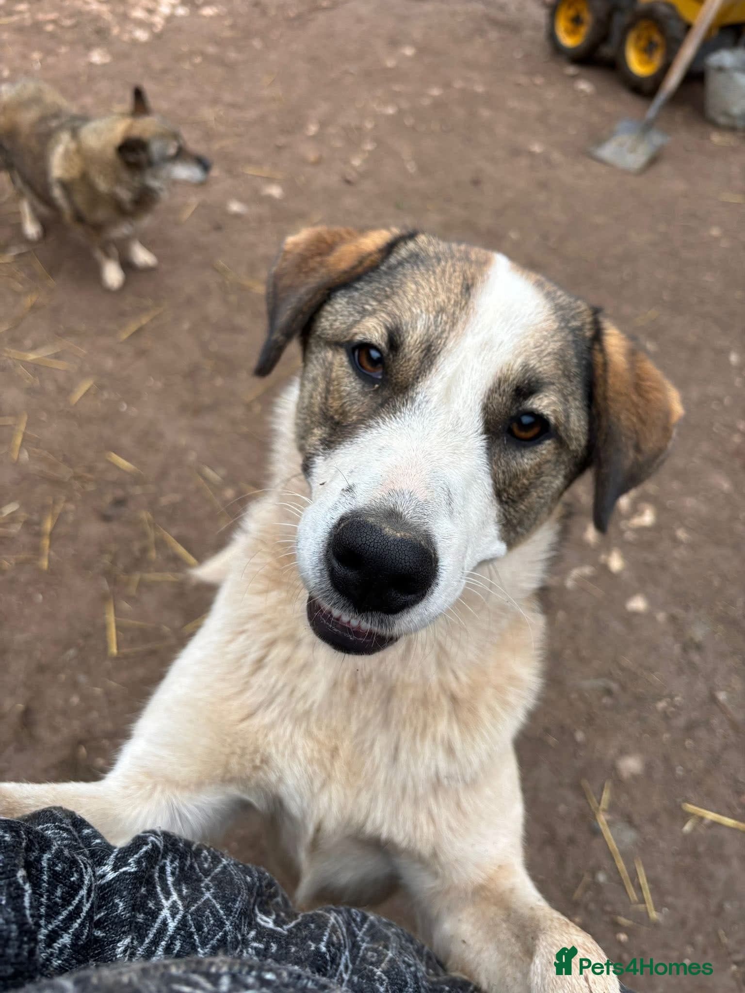 Could you be the family Mercy photo 3