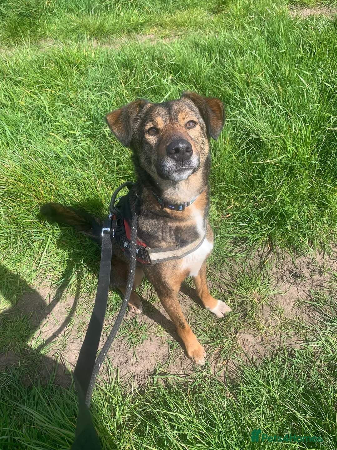 Meet Jake, currently residing in Cheshire photo 23