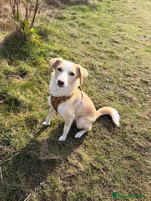 Meet Raquel, currently residing in Burnley photo 2