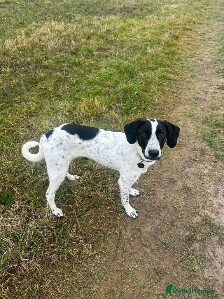 Meet Annabel, currently residing in Hertfordshire photo 3