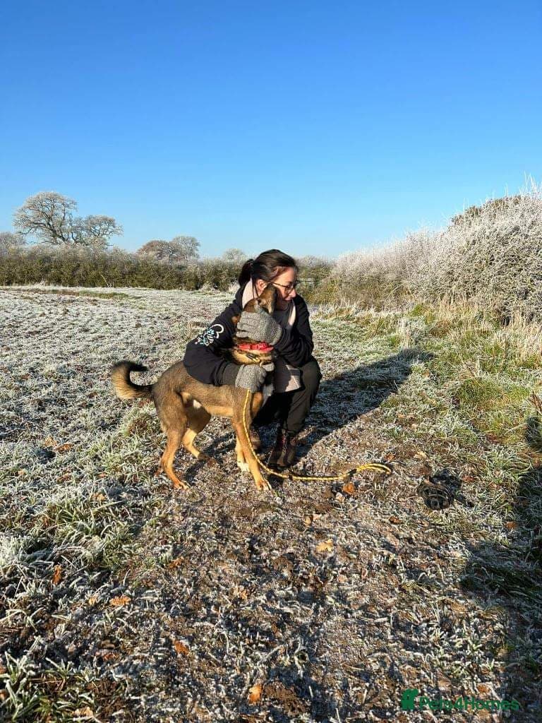 Meet Jake, currently residing in Cheshire photo 7