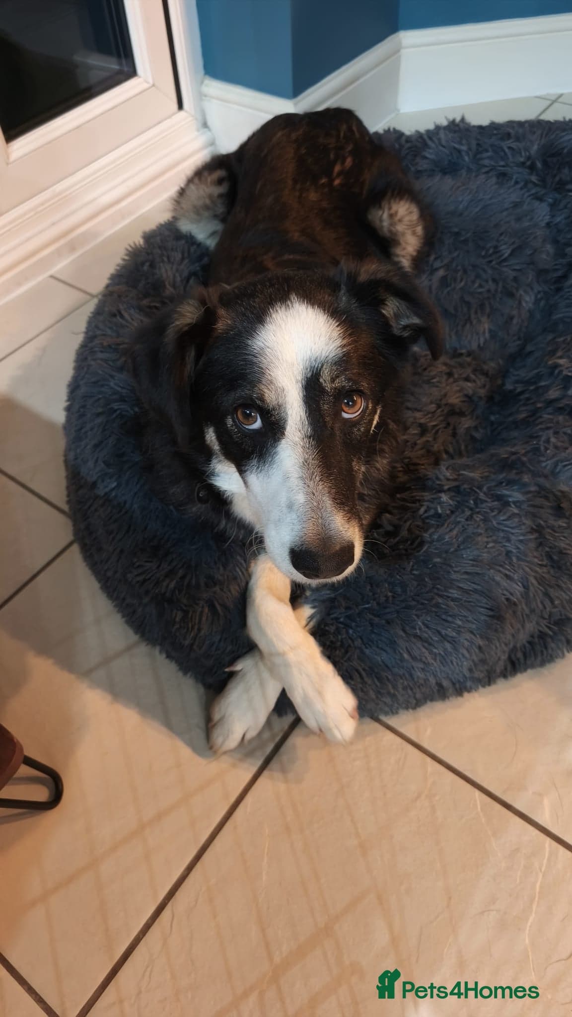 MAX๐ Let Down But Still Loving photo 15