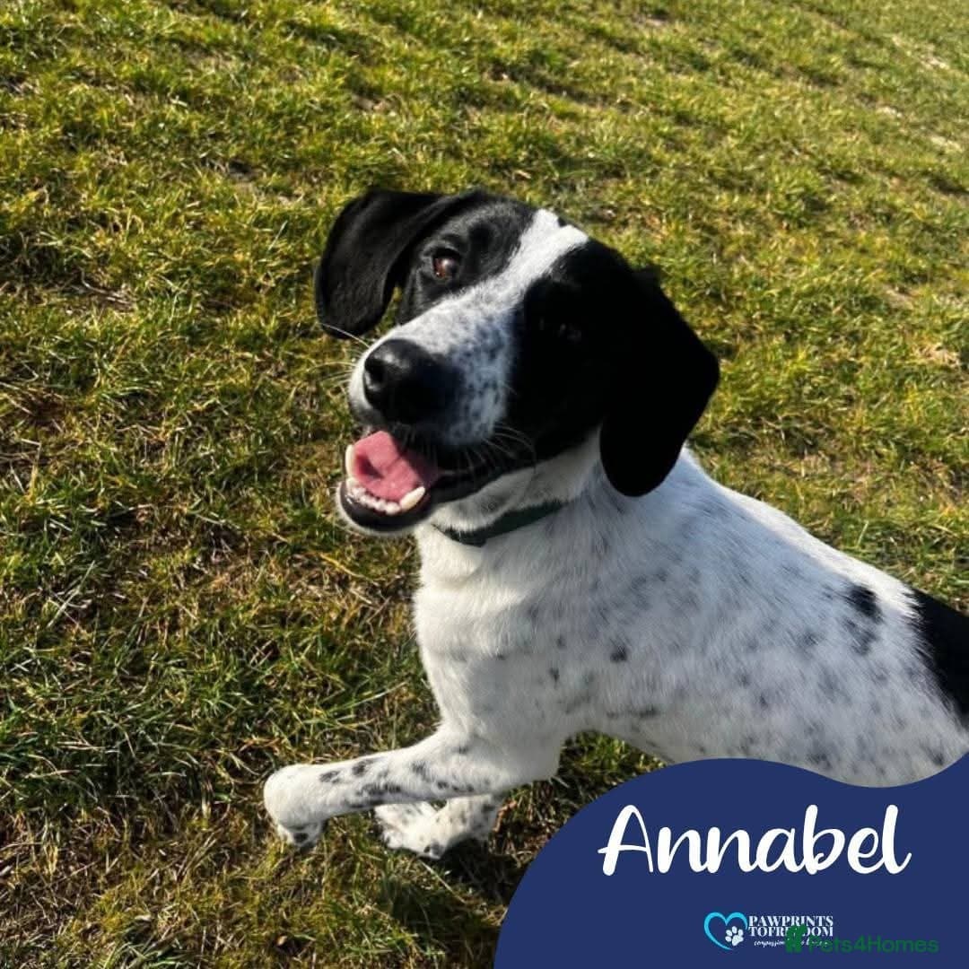 Meet Annabel, currently residing in Hertfordshire photo 2