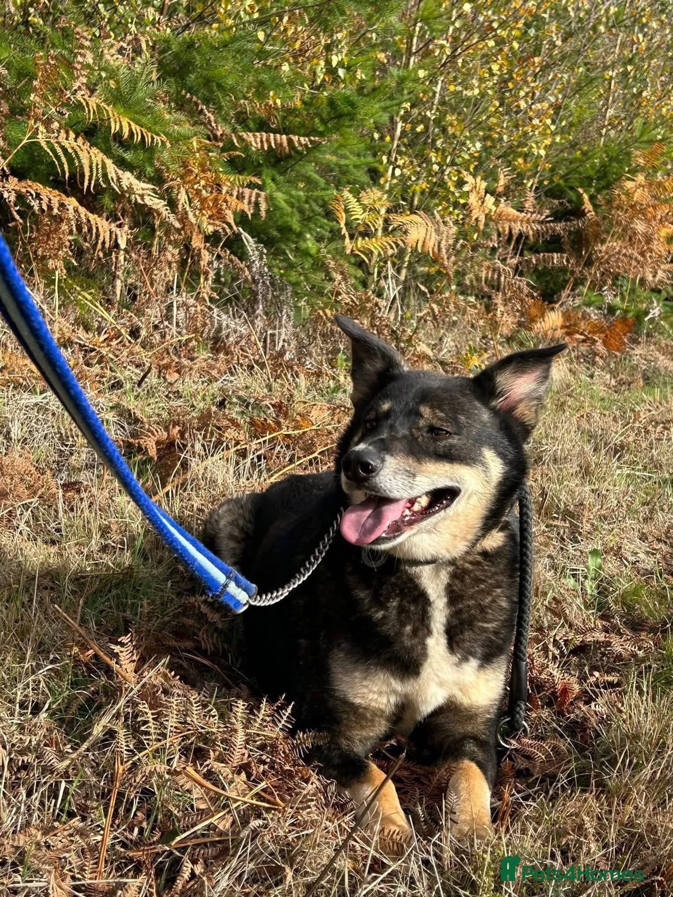 Ben - Norwich Norfolk photo 3