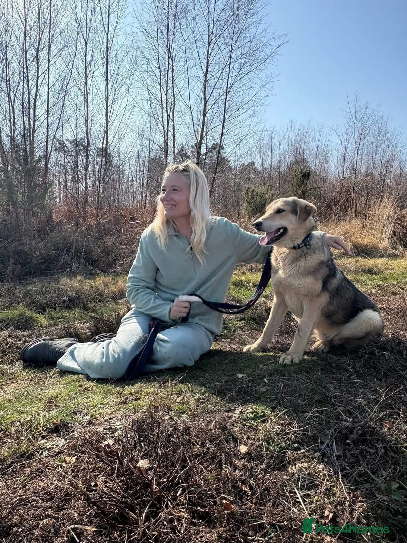 Neddy - Norwich Norfolk photo 9