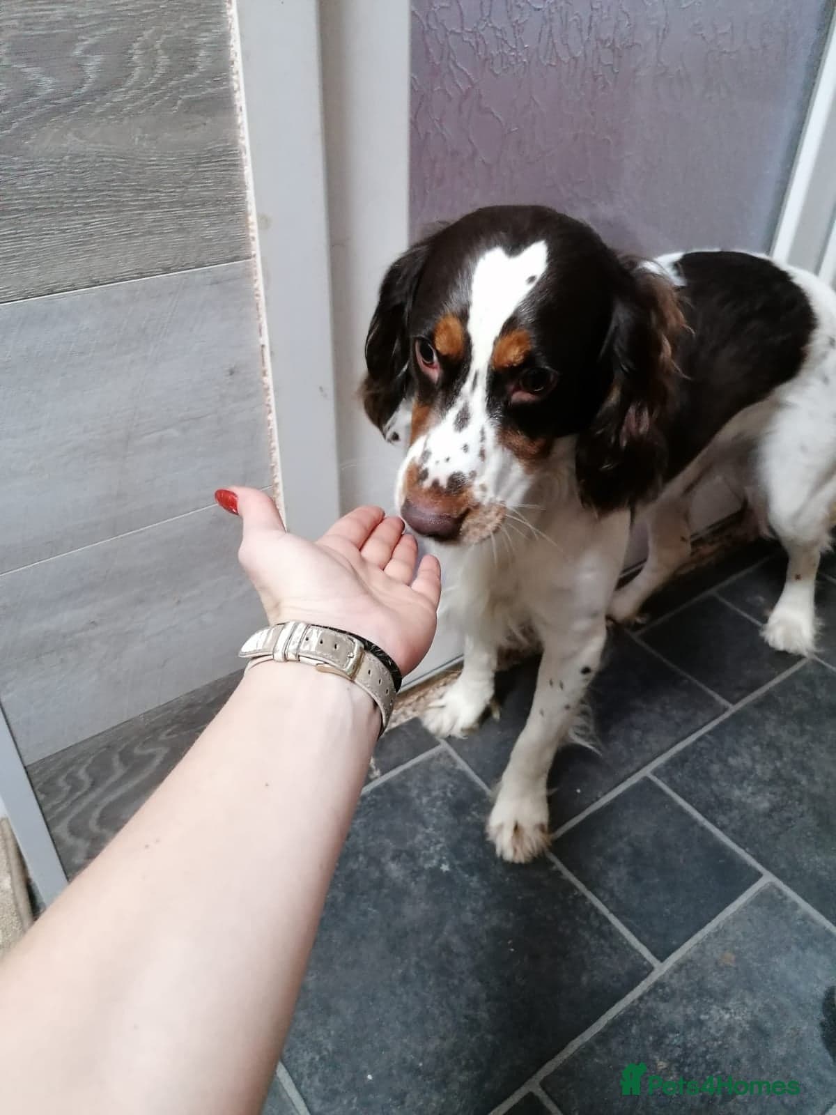 Tommy💙all heart, all energy, photo 17