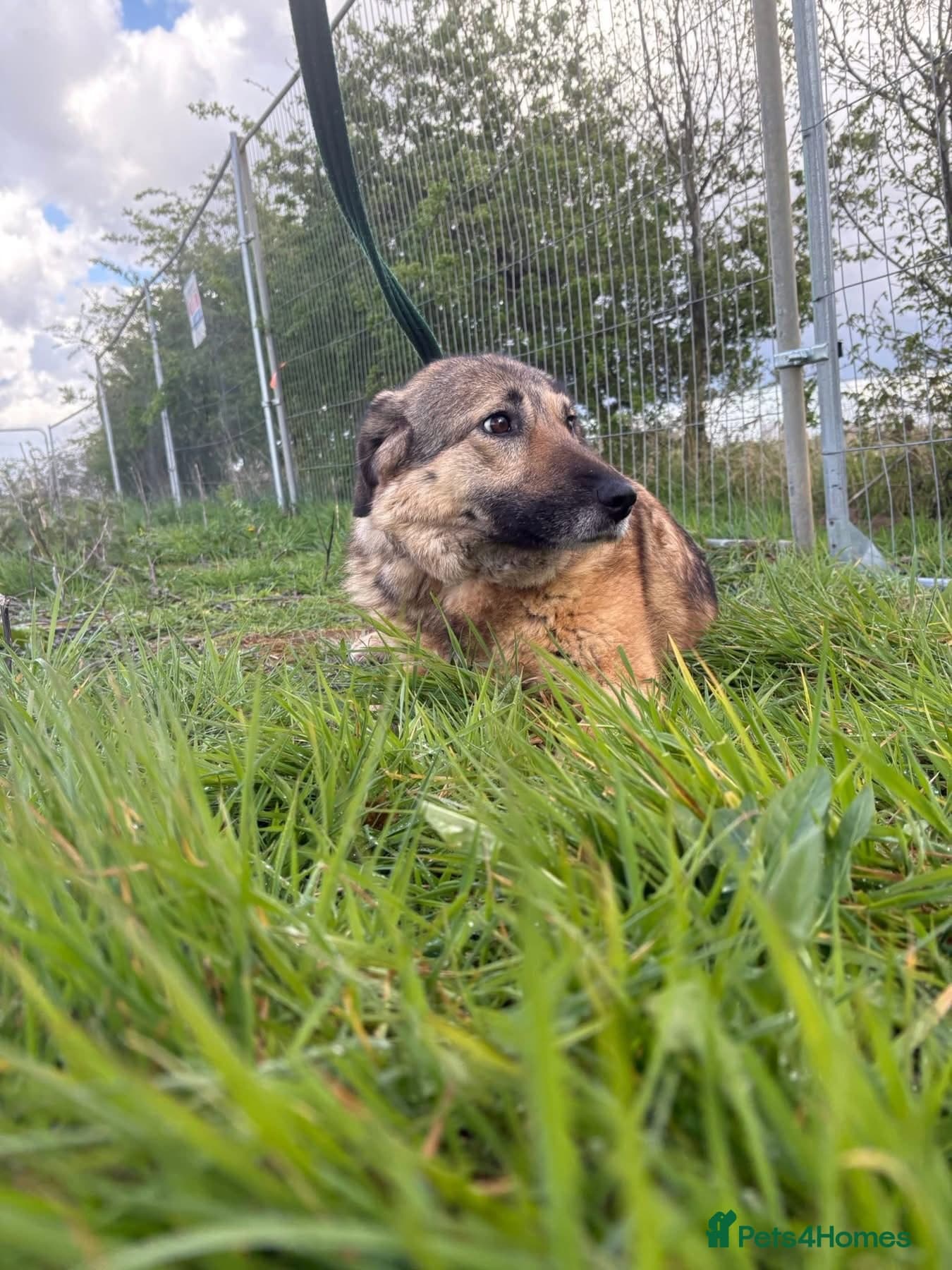 Amanda - Norwich Norfolk photo 12