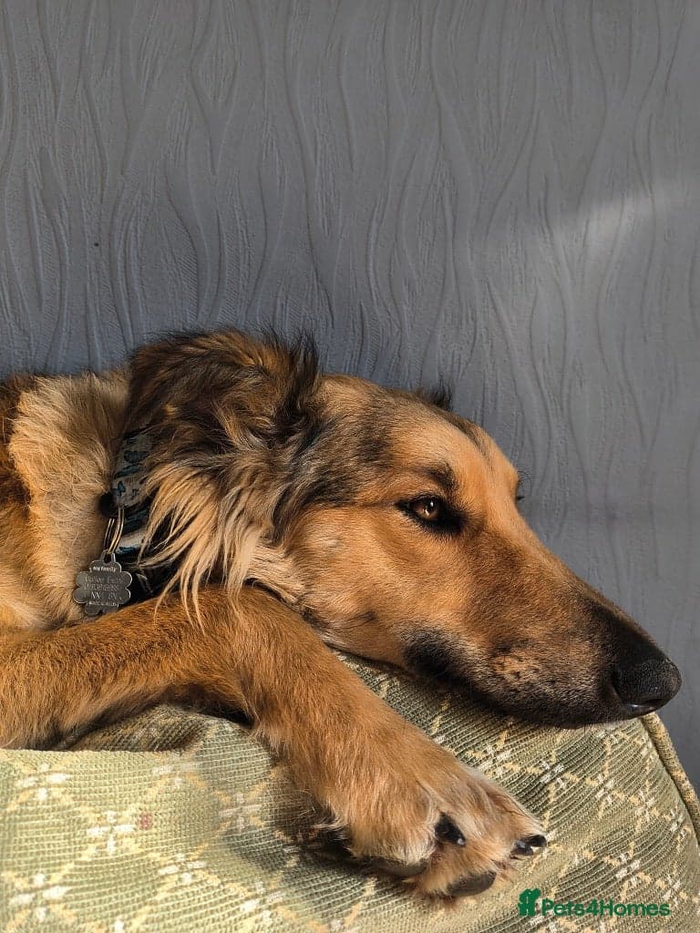 Coffee & robyn photo 9